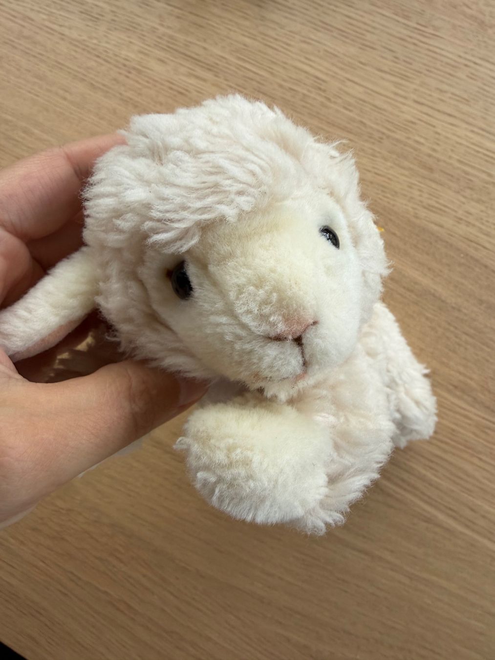 Steiff Spielzeuge: Steiff Lamm Linda – Gebraucht aus Zürich von laurapb 1