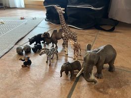 Schleich-Tiere Zoo