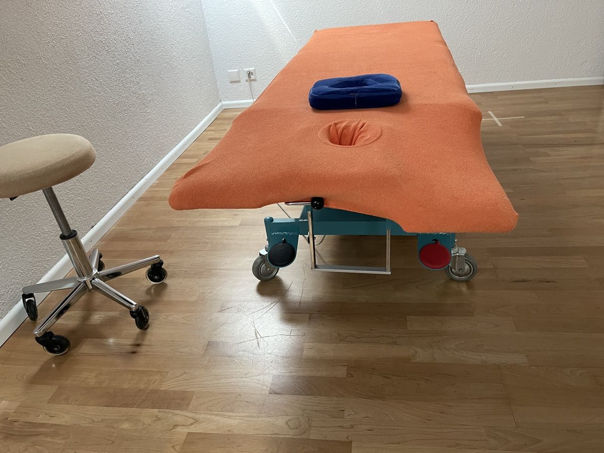 Sedie a sdraio: Therapieliege elektrisch – Usato da Basel venduto da grieg325 2