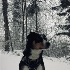 Profile image of ekr_gh7b