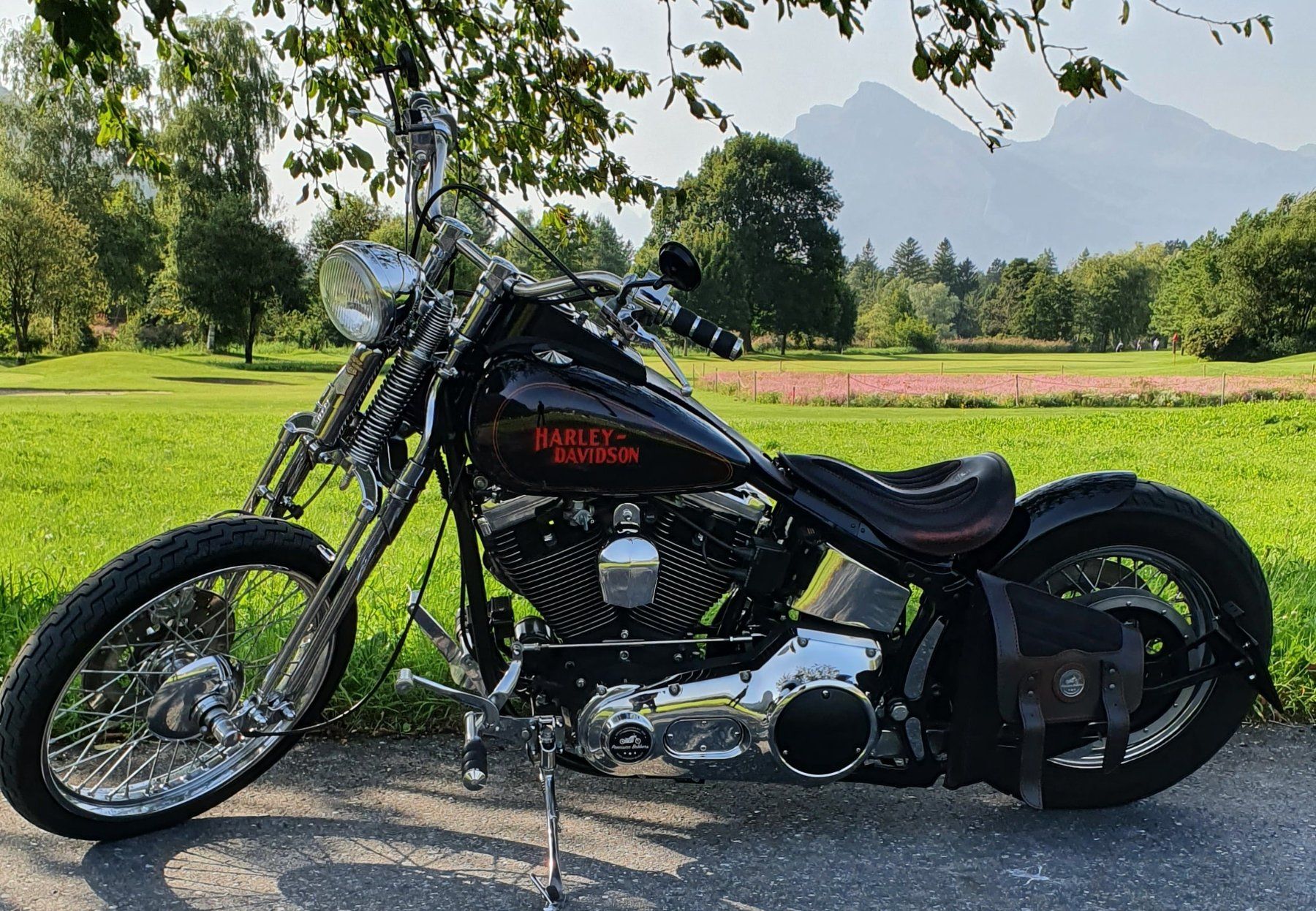 Harley-Davidson Chopper: Harley Davidson 93er Softail Springer "The Redback" – Usato da Aarwangen venduto da franky007