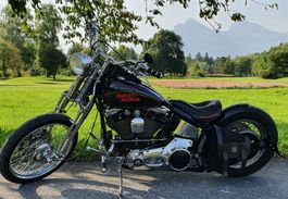 Harley Davidson 93er Softail Springer "The Redback"