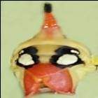 Profile image of Fred_Romont