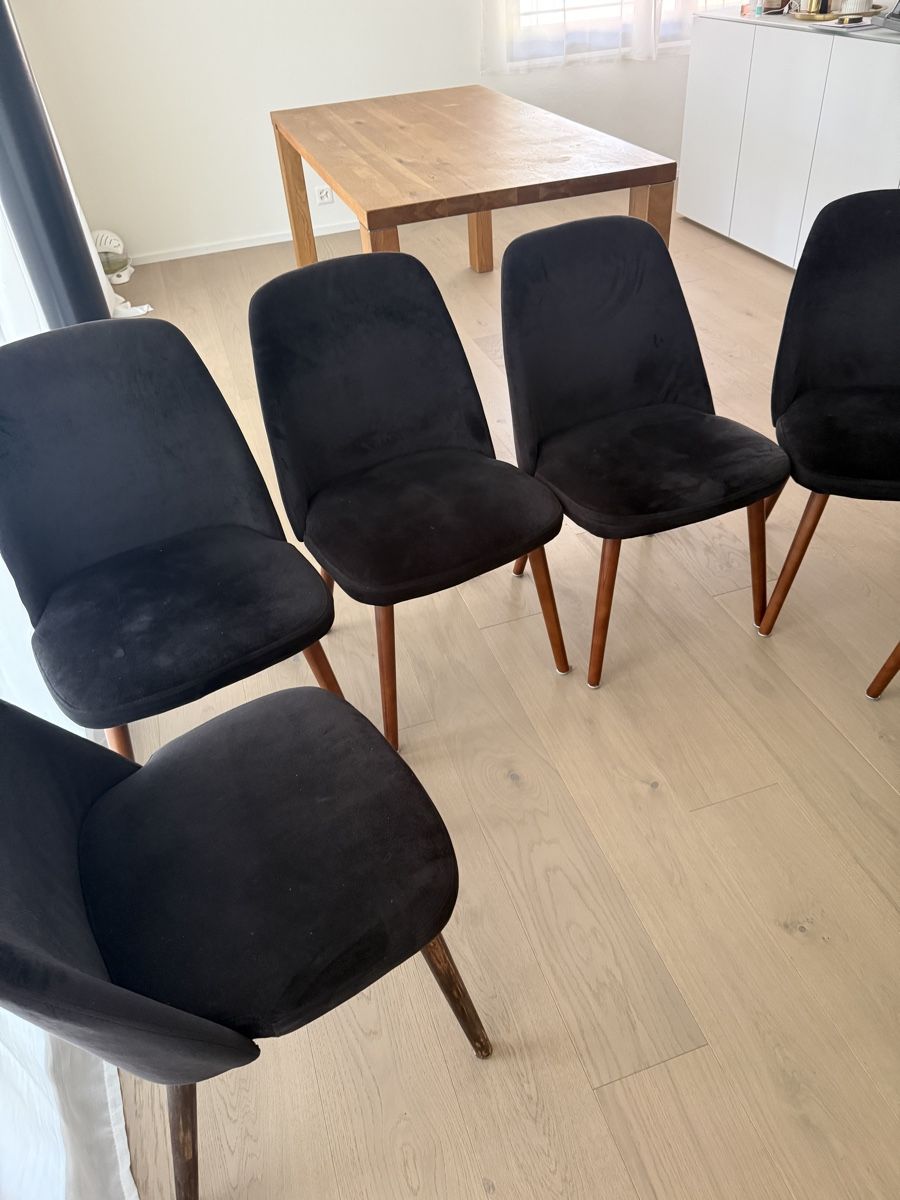 Stühle: Stühle – Gebraucht aus Wettingen von smrnt