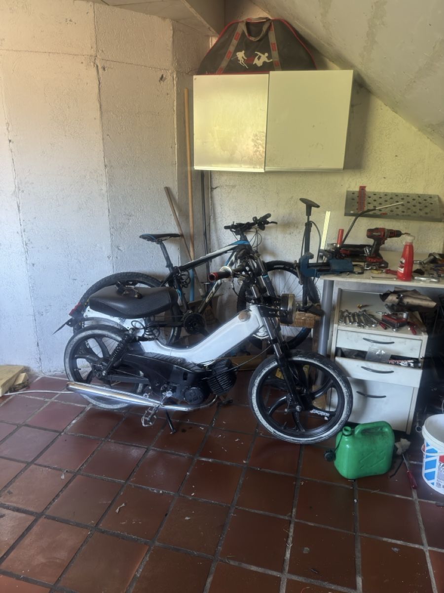Tomos Cyclomoteurs: Mofa Tomos – D'occasion à Tenniken par nan_6w7n 1