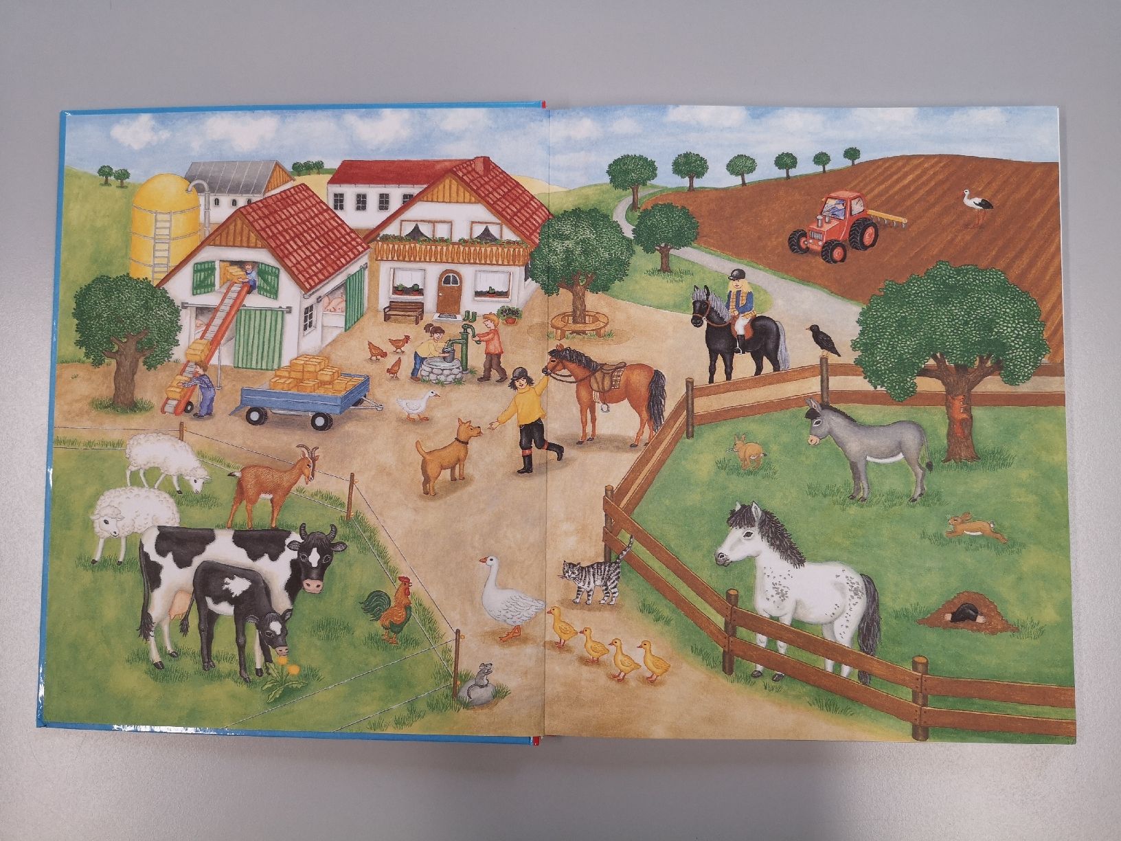 Libri: ABC der Tiere - Lesen in Silben – Usato da Sissach venduto da cor_n2dt 1