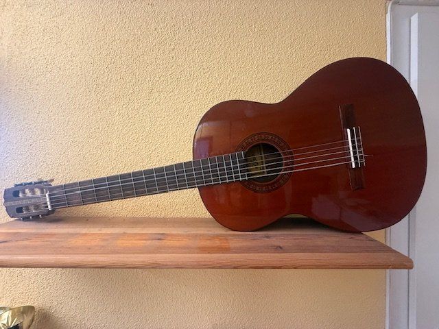 Strumenti musicali: Gitarre mit Hülle *** – Nuovo (secondo la descrizione) da Zürich venduto da Fifa