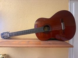 Gitarre mit Hülle ***