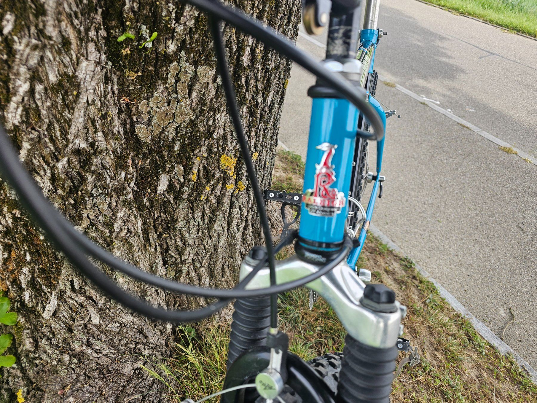 Raleigh Biciclette: MTB RALEIGH – Usato da kleindöttingen venduto da Jimi-Hendrix 4