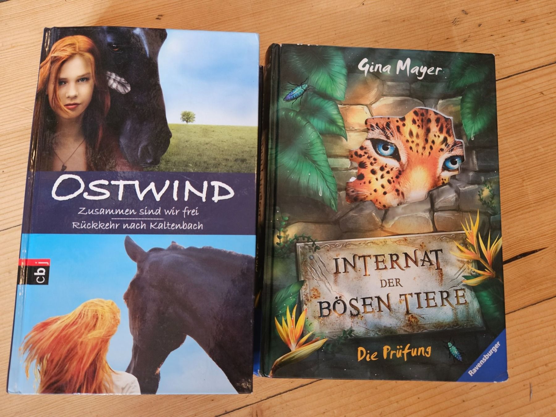 Libri: 5x Jugendbücher best off – Usato da Winterthur venduto da rahelmedeaL 1