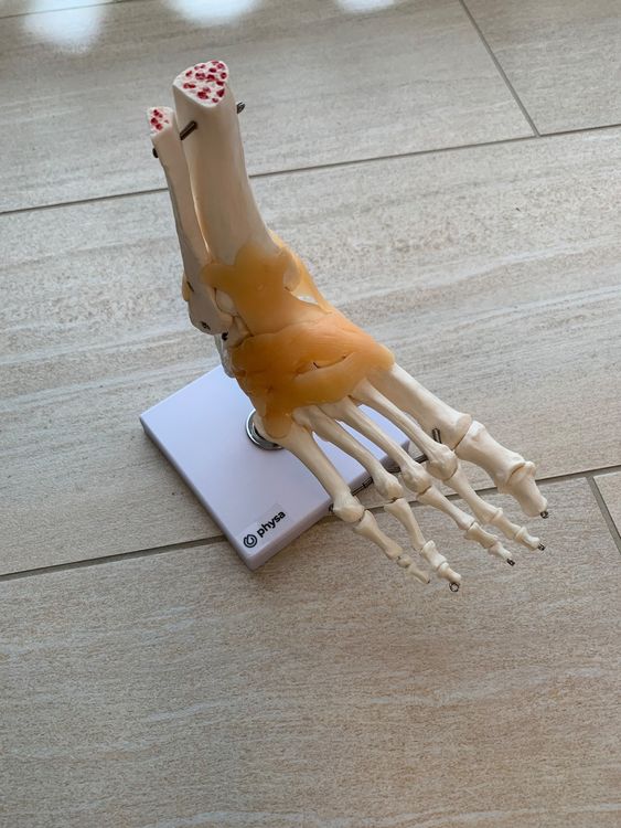 Leuchtende Skelett-Hausschuhe - Warme Fleece-Socken Mit Rutschfester Sohle