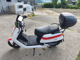 E-Roller NIU