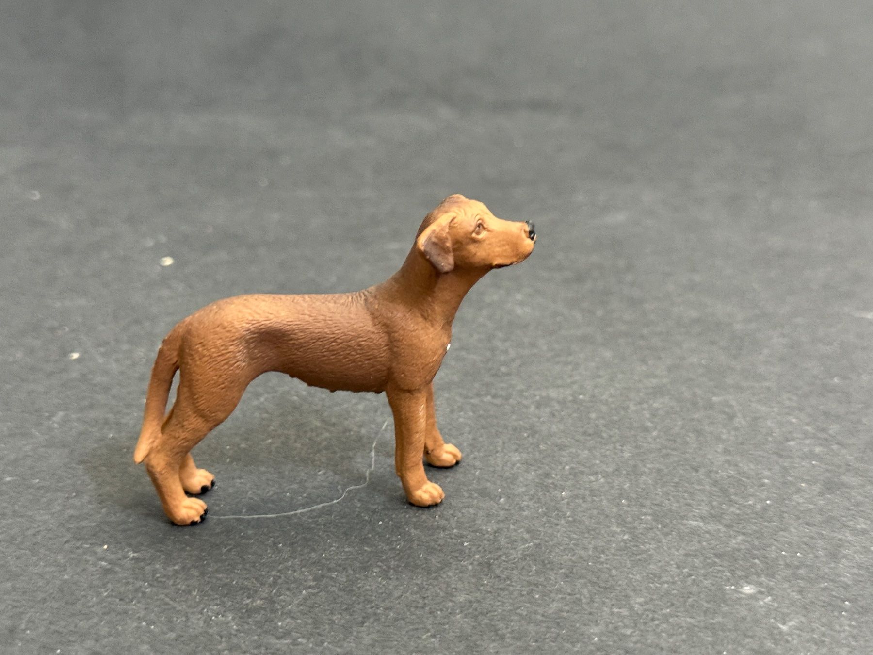 Schleich Figuren: Schleich Rhodesian Ridgeback Hund – Neu (gemäss Beschreibung) aus Ennetbaden von mapa05