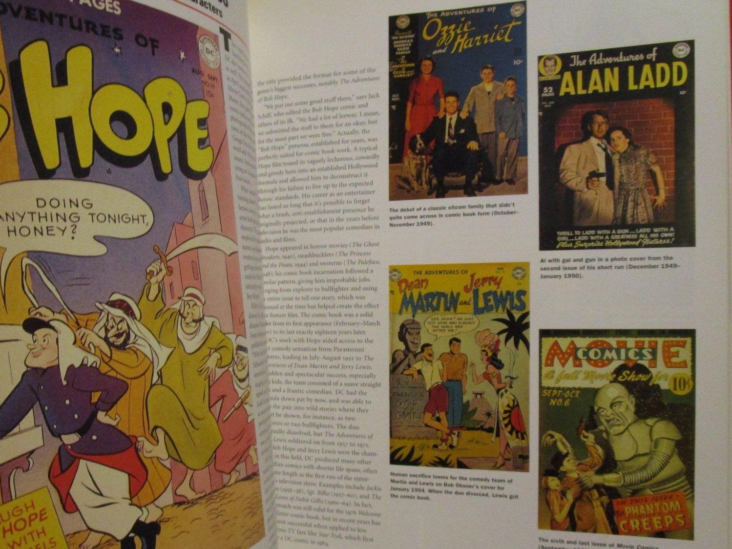 Fumetti: LIVRE DC COMICS by LES DANIELS  1995 – Nuovo (secondo la descrizione) da Chêne-Bourg venduto da breno56 1