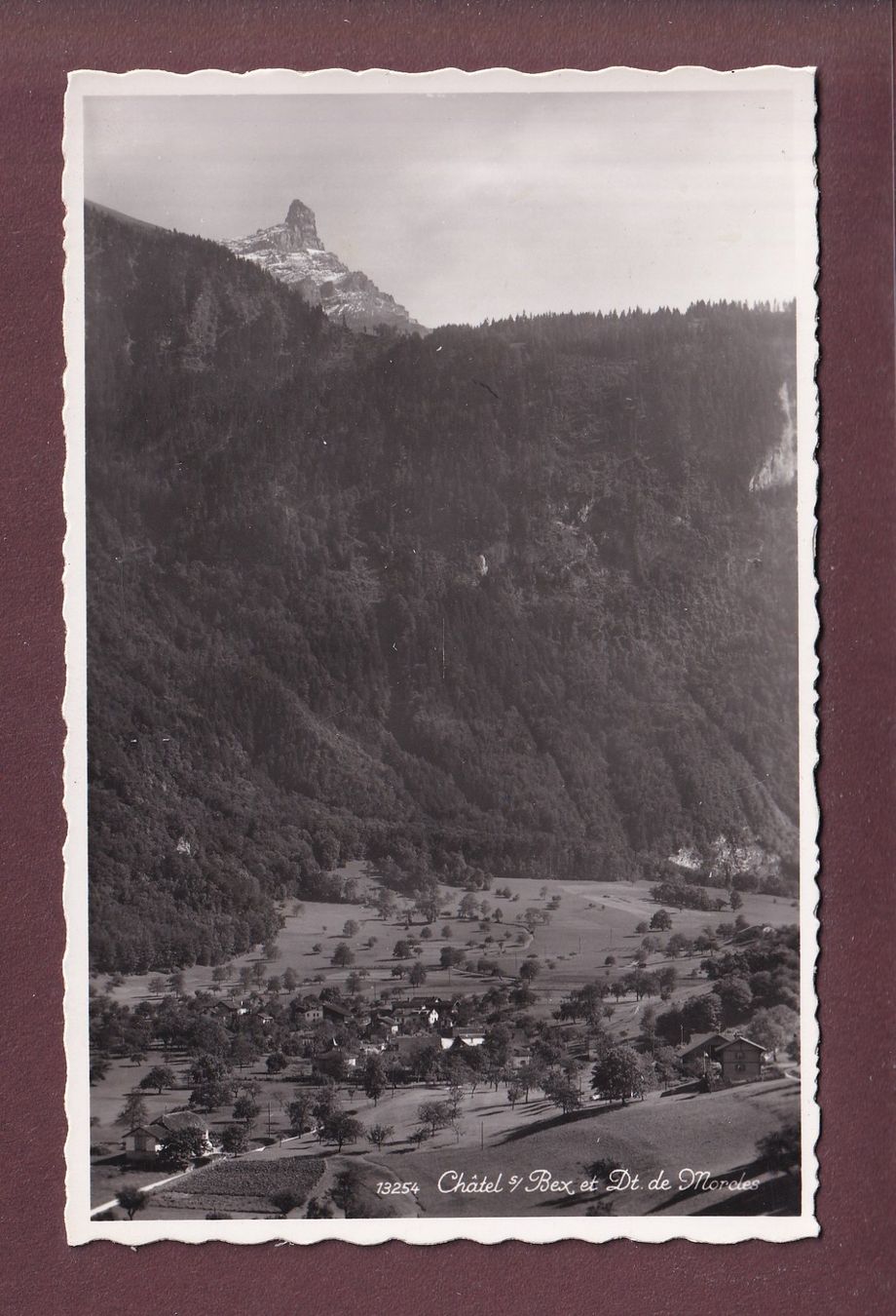 Cartoline postali: CHATEL sur Bex - Dent de Morcles - 1942 – Usato da Pully venduto da nicecards