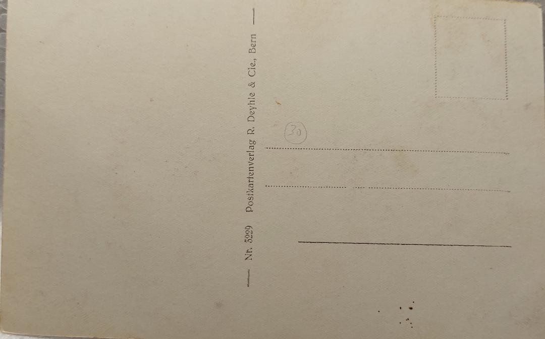 Cartoline postali: BERN  -  Plattform u. Münster – Usato da Delémont venduto da Domdom1 1
