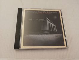 TISH HINOJOSA - DREAMING FROM THE LABYRINTH