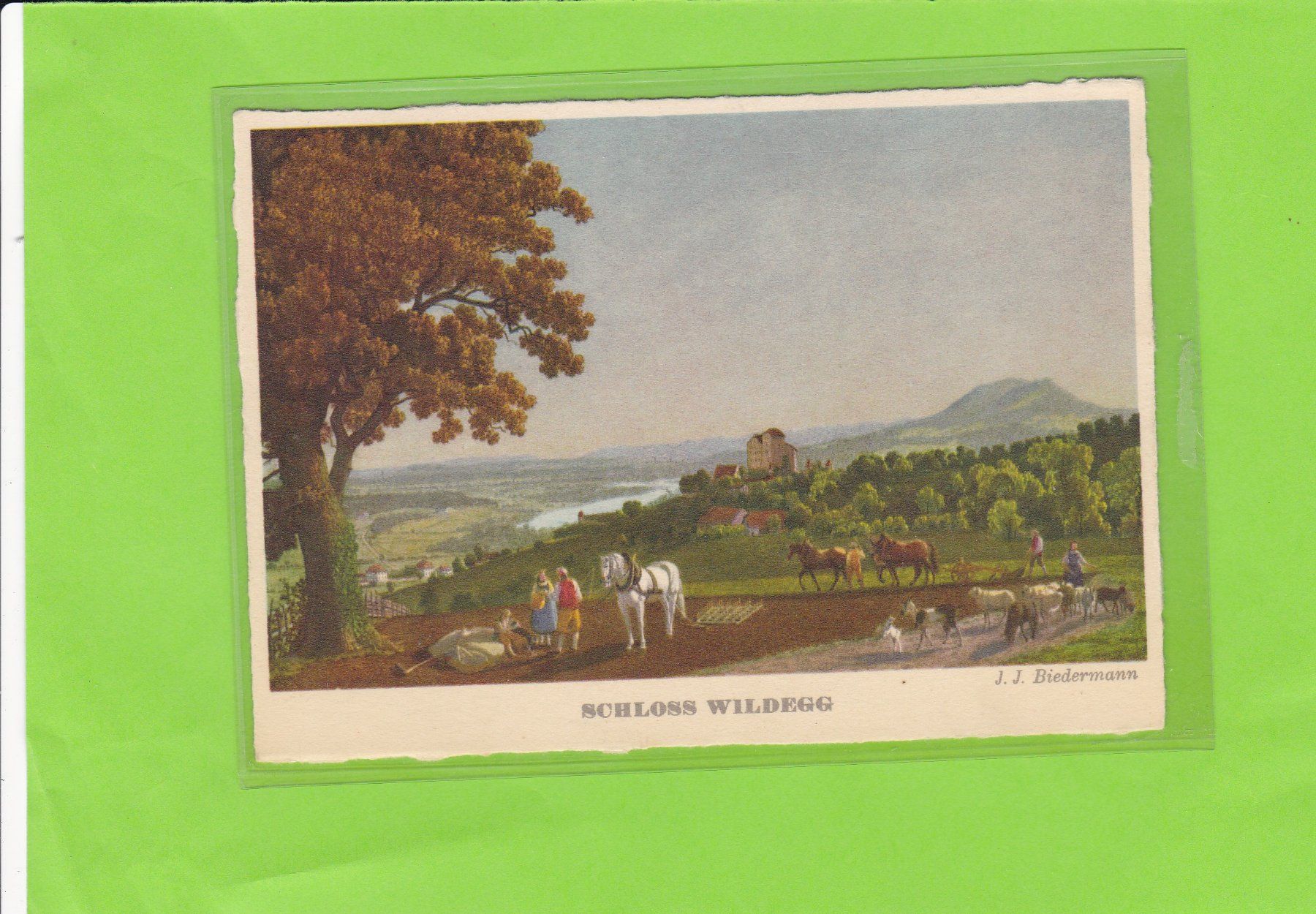 Ansichtskarten: Schloss Wildegg – Gebraucht aus St. Peterzell von neckertal