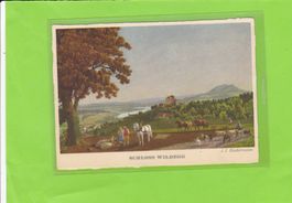 Schloss Wildegg