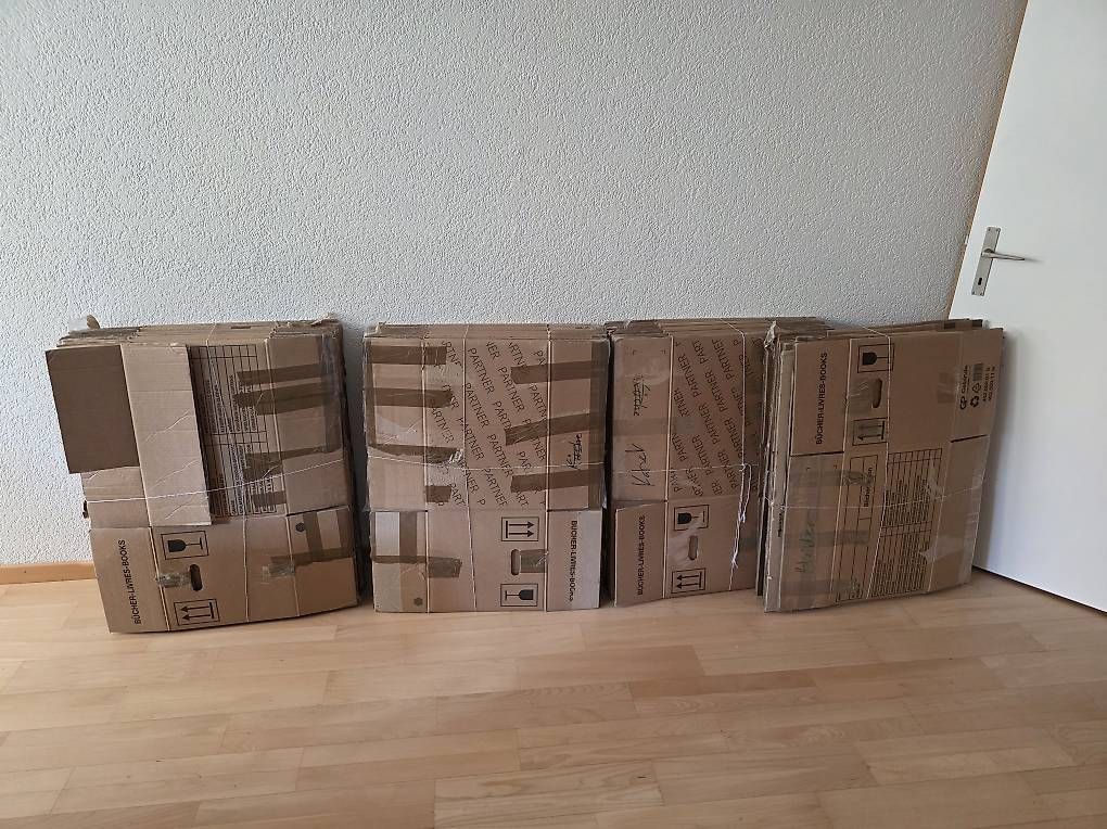 Cartoni: Umzugskisten  – Usato da Lyss venduto da Carina014 1