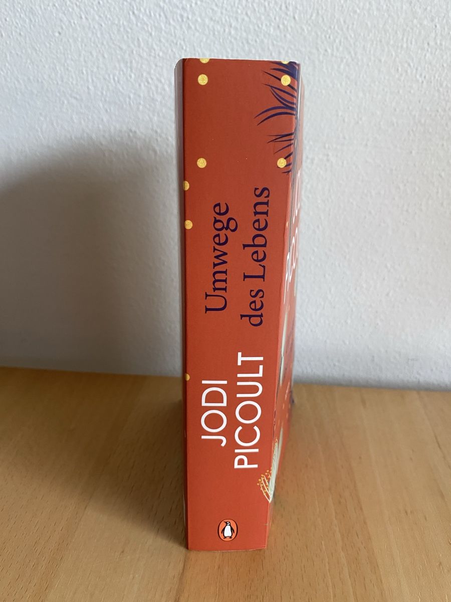 Libri: Umwege des Lebens - Jodi Picoult – Usato da Schwarzenburg venduto da Michellu 2
