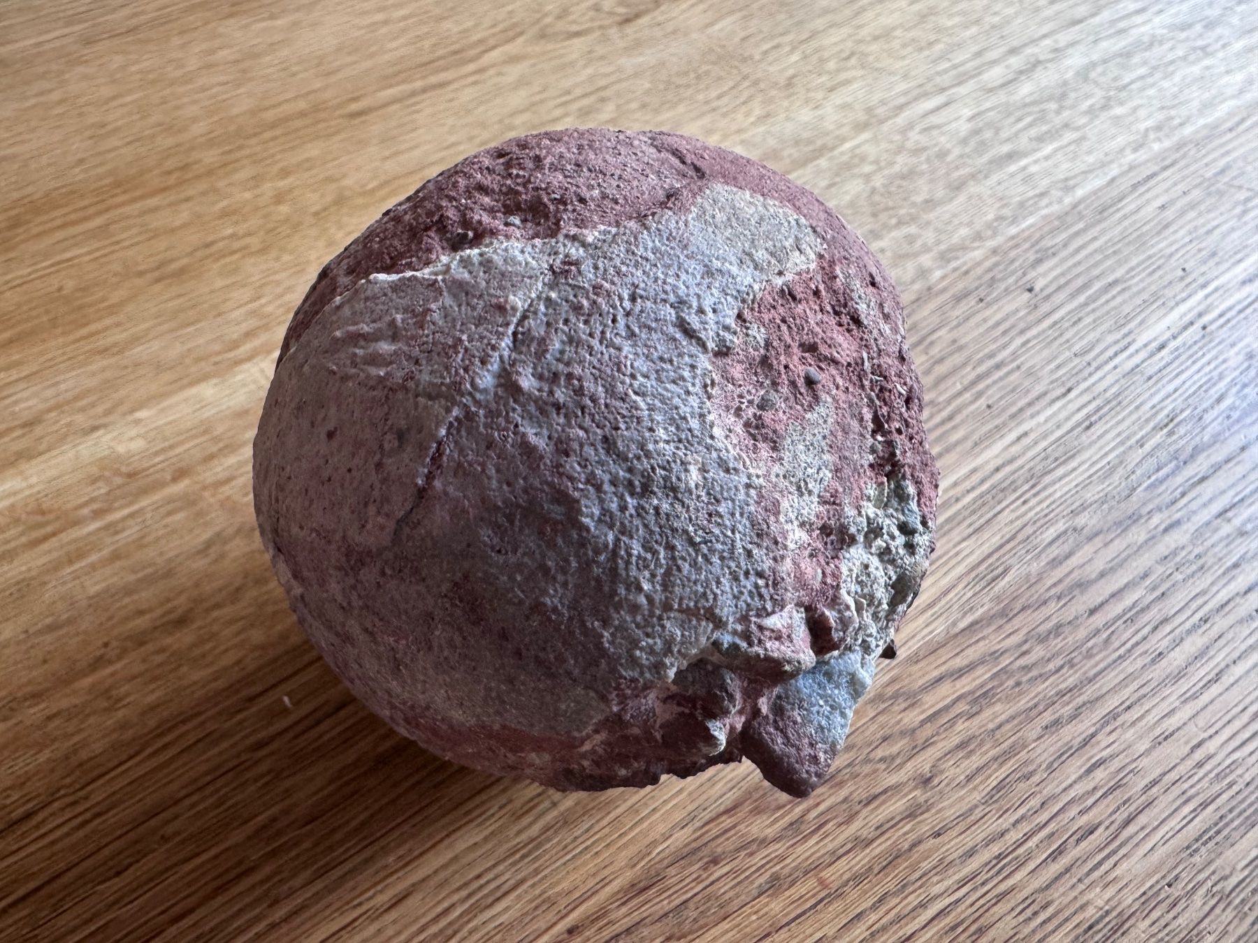 Fossili: Echtes Dinosaurier Ei Hadrosaurus Fossil – Usato da Zürich venduto da xevious69 3