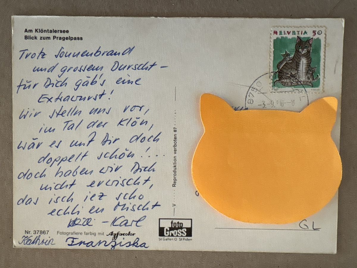 Cartoline postali: AK von Klöntalsee – Usato da Rümlang venduto da Kartenpost1 1
