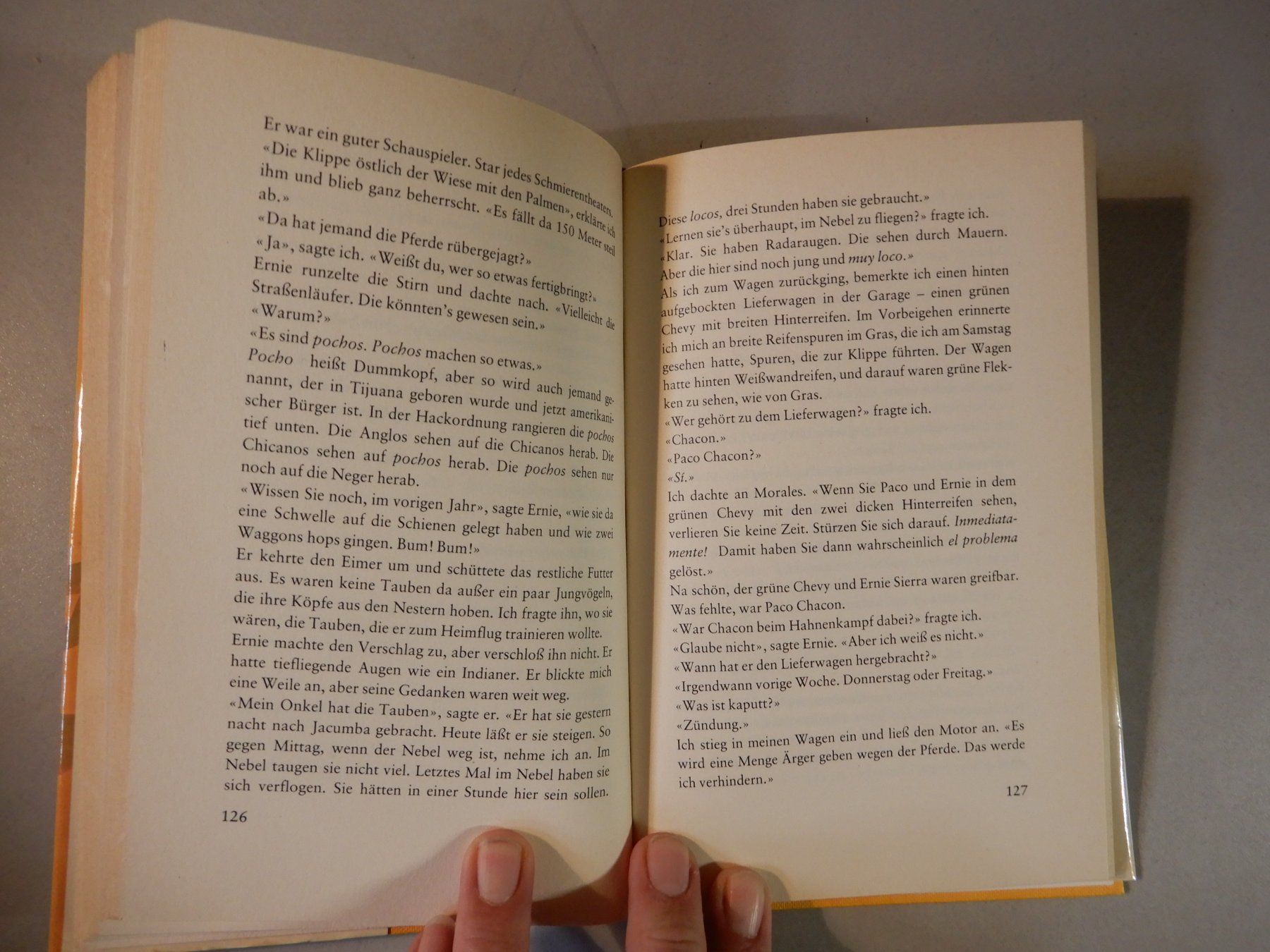 Libri: Scott O'Dell: Sohn des Feuers Buch – Usato da Erstfeld venduto da Mario_boe0 6