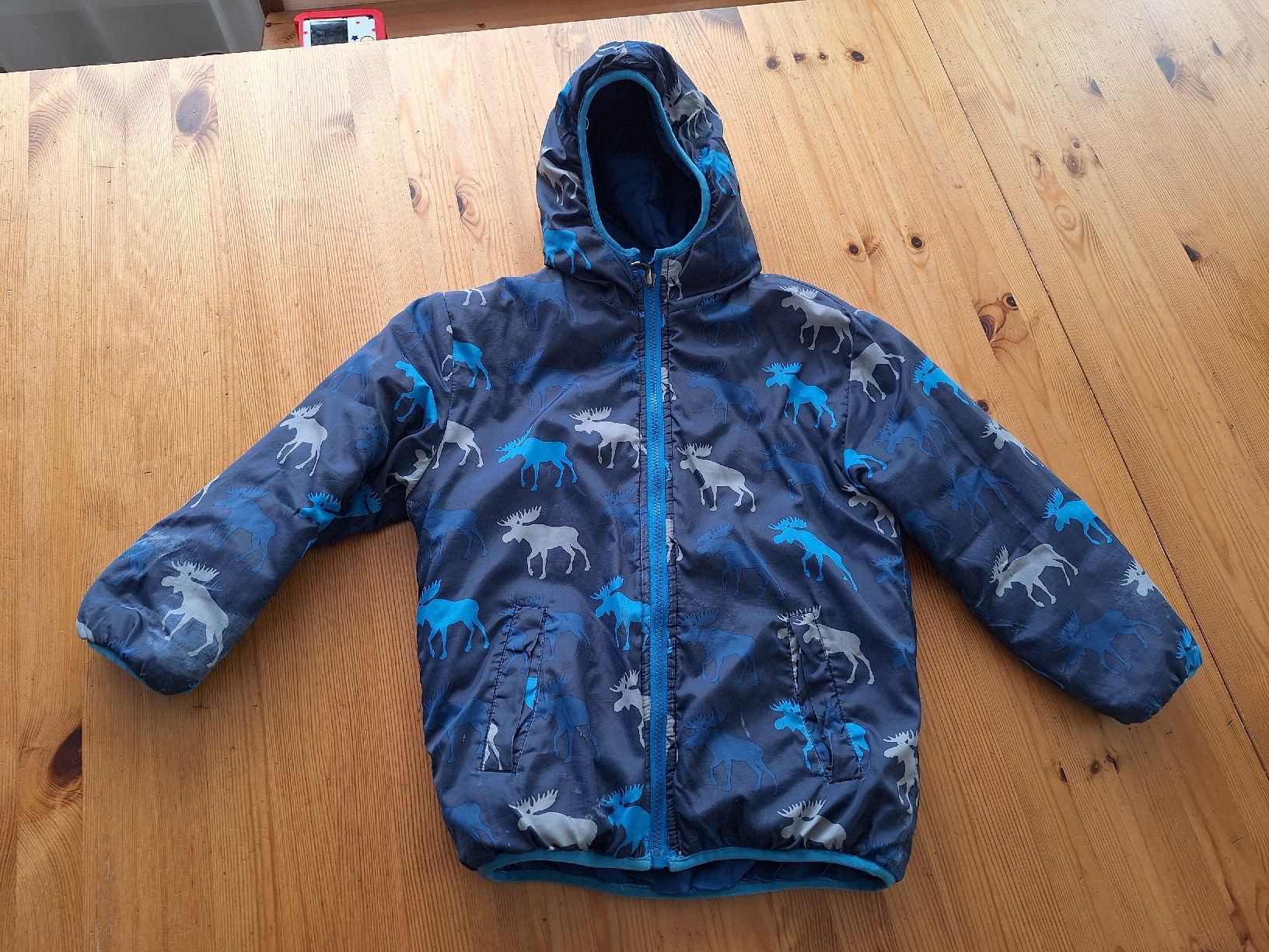 Hatley Giacche & Cappotti: Hatley Wendejacke 128/134 – Usato da Aesch BL venduto da ChezToKa