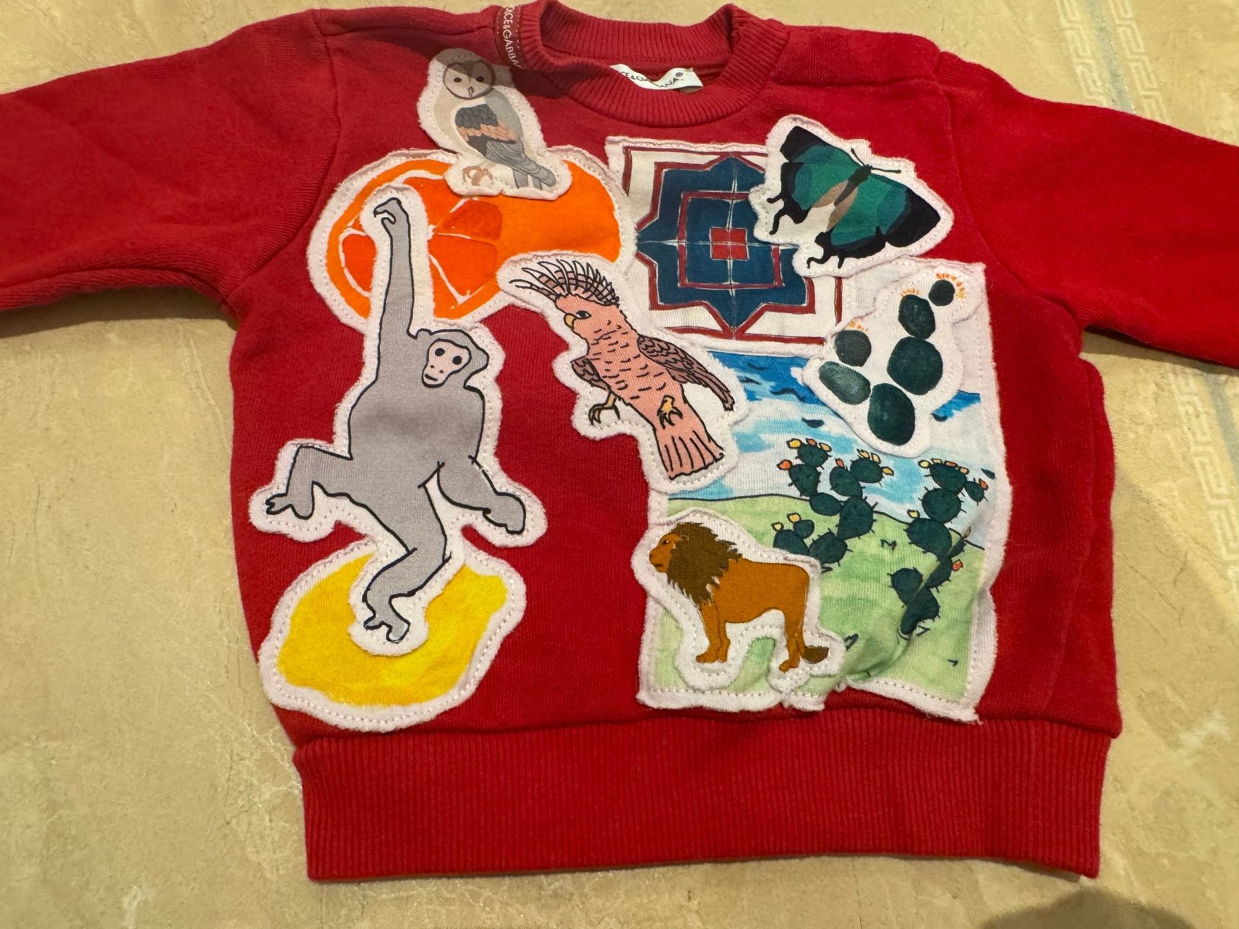 Dolce & Gabbana Pullover & Sweatshirts: Dolce Gabbana NWT Pullover, 3-6Mt – Neu (gemäss Beschreibung) aus Klingnau von Markus14 1