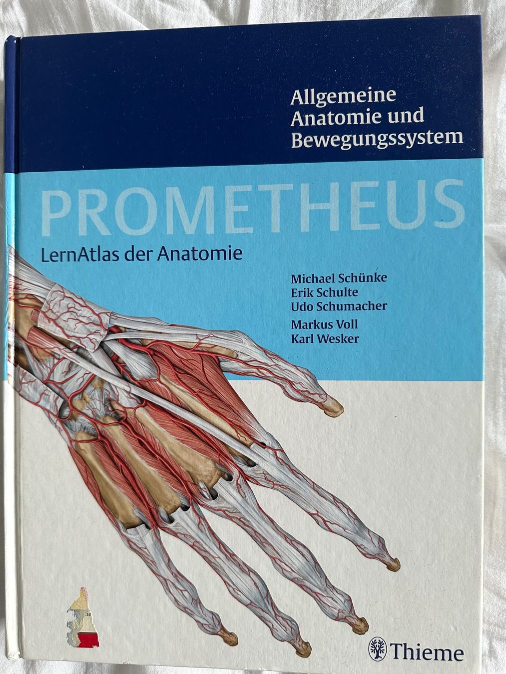 Libri: Prometheus LernAtlas der Anstomie – Usato da St. Gallen venduto da mar_c29s