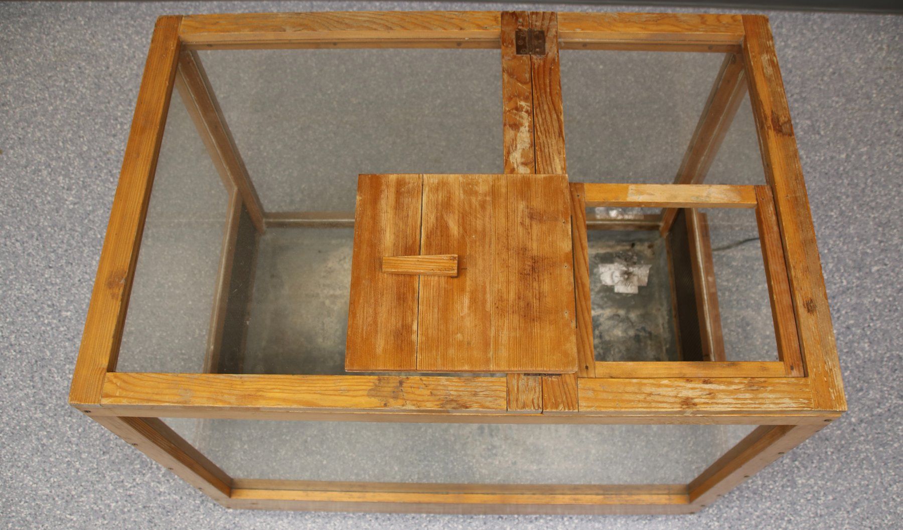 Terrarium: Terrarium – Gebraucht aus Sulgen von Harfe73 5