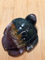 Ozeanjaspis Schildkröte 90g