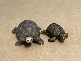 Schleich Schildkröte Schildkröten