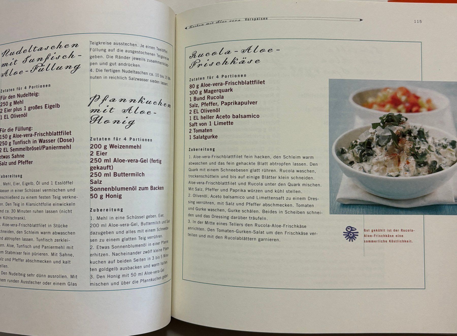 Libri: Heilen und kochen mit Aloe Vera – Nuovo (secondo la descrizione) da Sarnen venduto da Livres 8