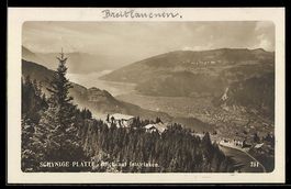 AK Interlaken, Panorama von der Schynige Platte gesehen