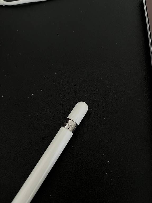 Penna & Evidenziatori: Apple Pencil 1.Gen – Usato da Wallisellen venduto da jul_rdp8 2