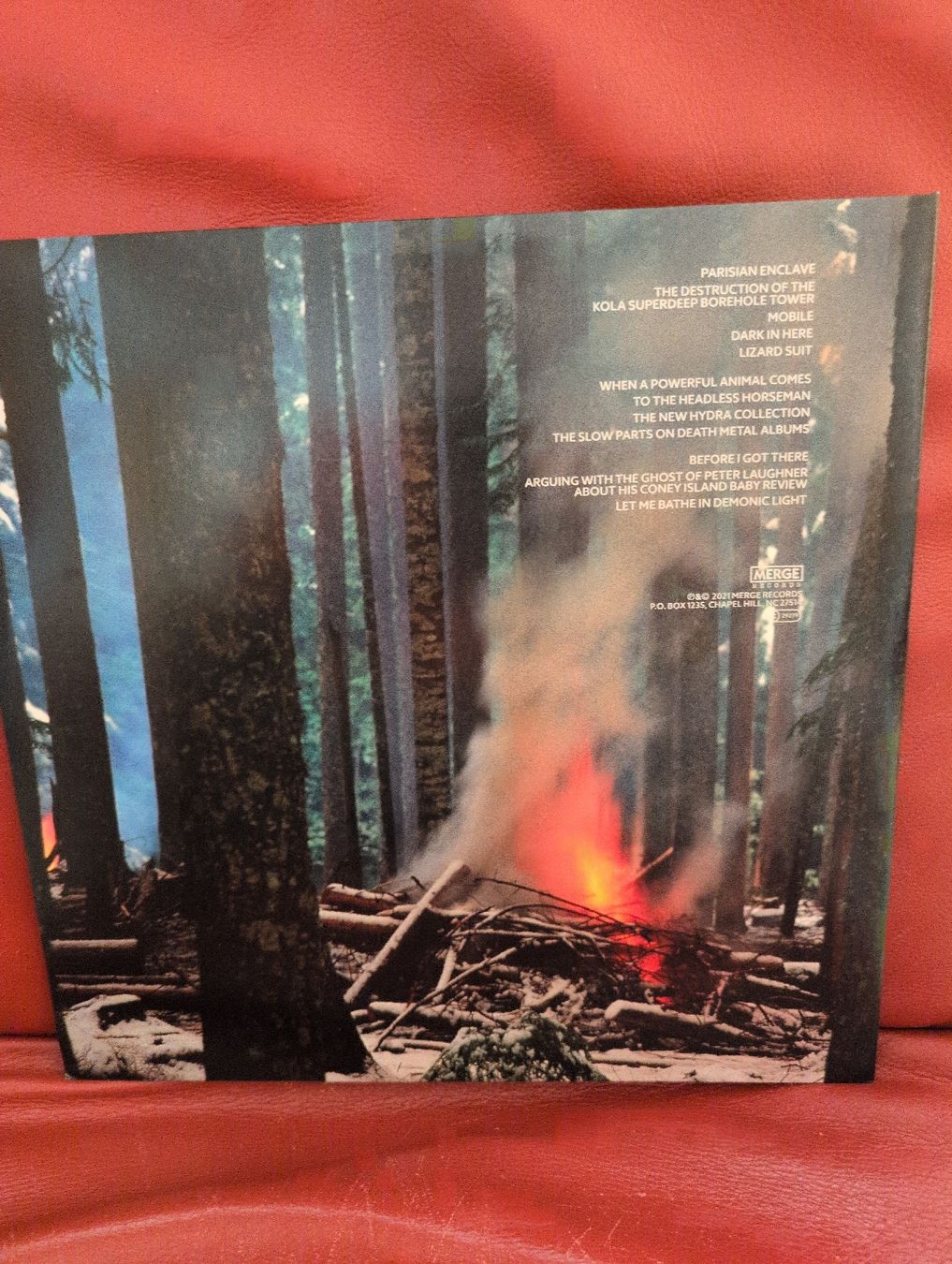 Schallplatten: the Mountain Goates - Dark in Here Blue Vinyl – Neu (gemäss Beschreibung) aus Bern von rabbit01 1