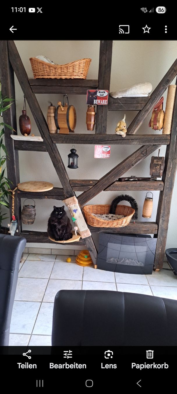 Tiragraffi: Katzenbaum / Trennwand – Usato da St. Margrethen SG venduto da Alex6097 4