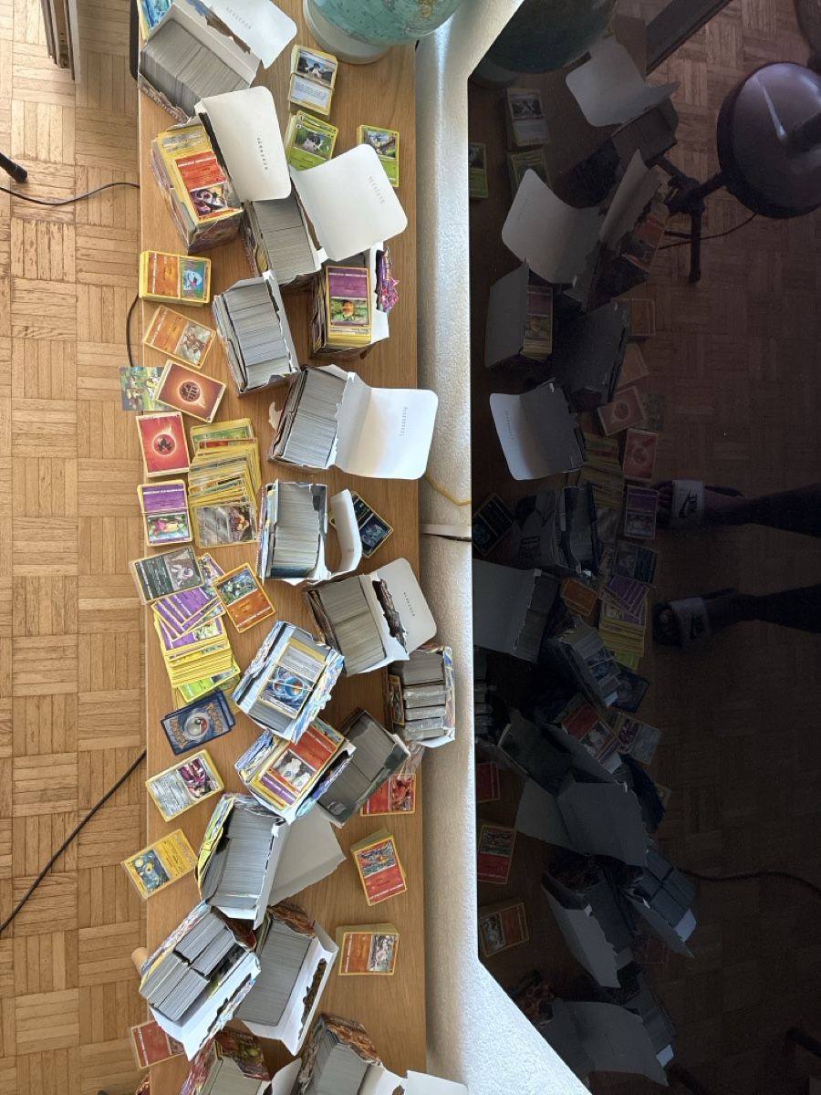 Pokémon Carte collezionabili: Pokémon collection  – Usato da Grenchen venduto da all_th82 5