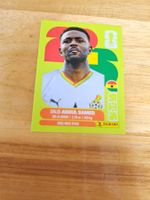 Panini FIFA World Cup GHA 11