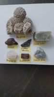 Naturkraft-Set 10 mit Barytrose