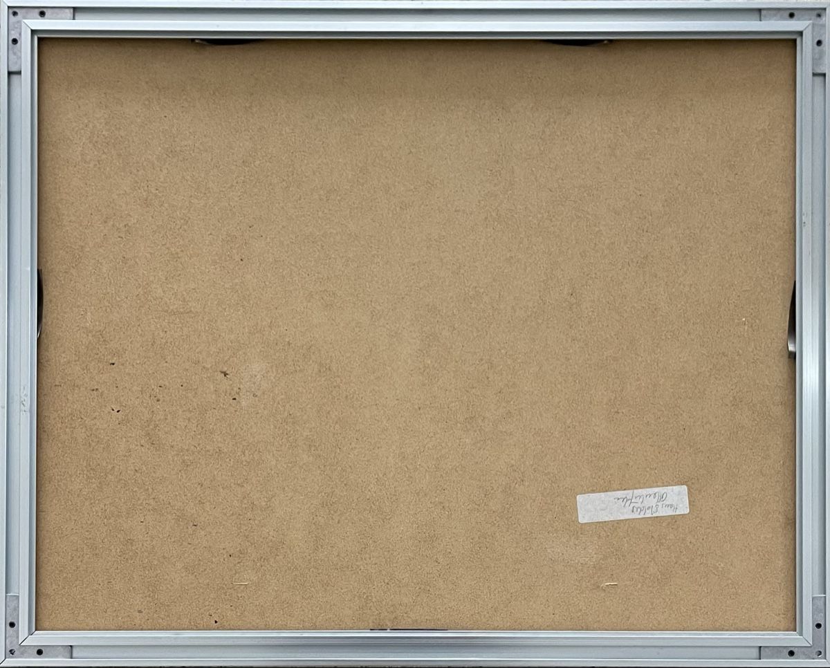 Arts picturaux & lithographies: Signiert – D'occasion à Grosshöchstetten par Perle1951 3