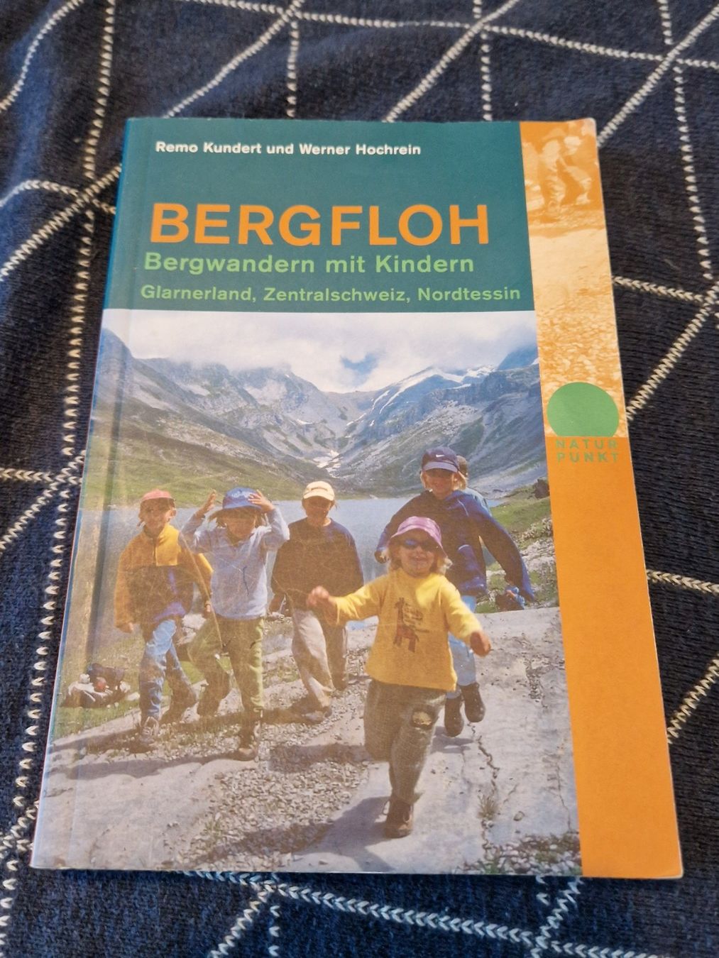 Libri: Bergfloh Buch - Bergwandern mit Kindern – Usato da MUEHLAU venduto da ibo_5c7d