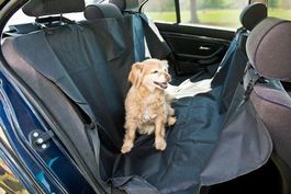 Hundeautodecke Autoschondecke Schwarz