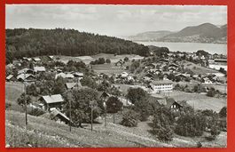Spiezwiler 1954
