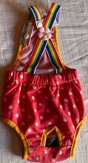 Secchi per pannolini & Pannolini: Hunde Höschen Gr. XL – Nuovo e nell'imballaggio originale da Matt venduto da Westigruppe 1