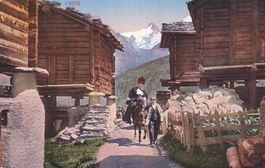 N° 2635  Village. Une dame sur un âne quidée par un Homme