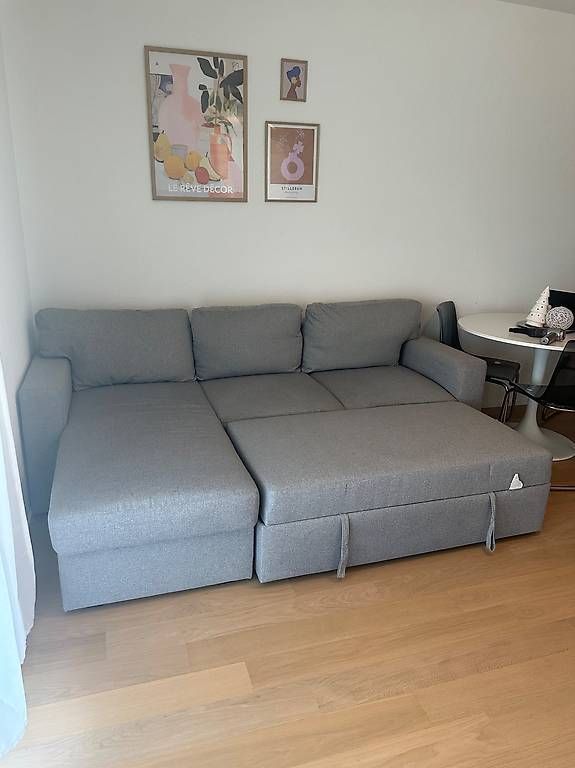 Divani: Ikea Bettsofa 1 Jahr benutzt  – Usato da Oberwangen TG venduto da ren_7yt7 1