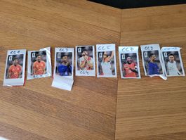 Cola Panini Sticker Set